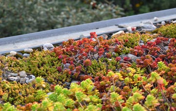 the cost of Hiscott green roof installation